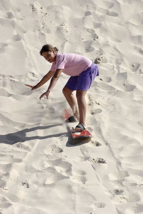 Pinnacles Desert, Koalas And Sandboarding 4WD Day Tour From Perth - ACT Tourism 24