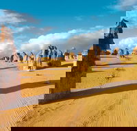 Pinnacles Desert Koalas and Sandboarding 4WD Day Tour from Perth - ACT Tourism