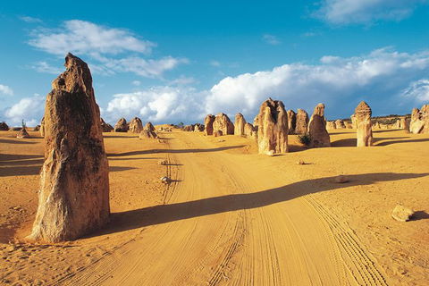 Pinnacles Desert, Koalas And Sandboarding 4WD Day Tour From Perth - ACT Tourism 0