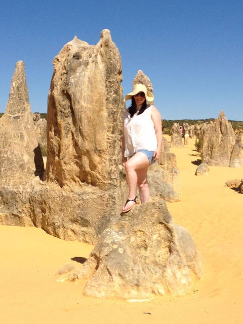 Pinnacles Desert, Koalas And Sandboarding 4WD Day Tour From Perth - ACT Tourism 16