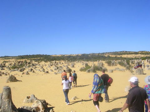 Pinnacles Desert, Koalas And Sandboarding 4WD Day Tour From Perth - ACT Tourism 25