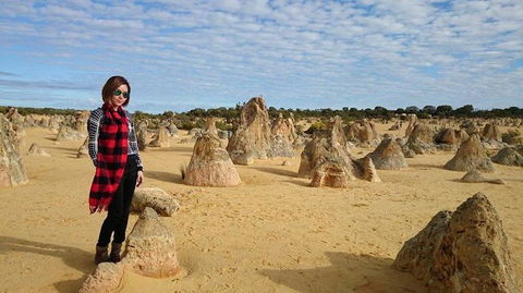 Pinnacles Desert, Koalas And Sandboarding 4WD Day Tour From Perth - ACT Tourism 13