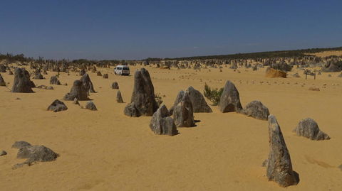 Pinnacles Desert, Koalas And Sandboarding 4WD Day Tour From Perth - ACT Tourism 4