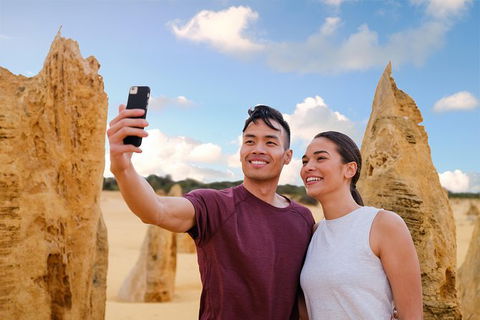 Pinnacles Desert, Koalas And Sandboarding 4WD Day Tour From Perth - ACT Tourism 27