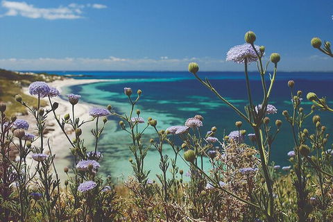 Rottnest Island Full-Day Trip With Guided Island Tour From Perth - ACT Tourism 6