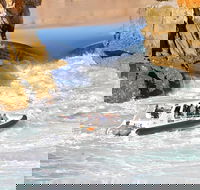 Horizontal Falls Half-Day Tour from Broome - ACT Tourism