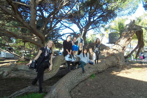 1/2 Day Swan Valley Wine Cheese & Chocolate Tour Inc Afternoon Cruise To Perth - ACT Tourism 10