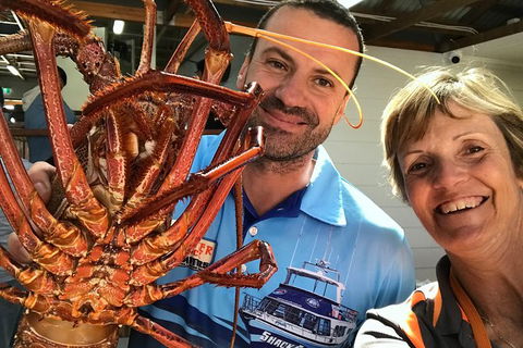 Pinnacles And Yanchep National Park Day Trip From Perth Including Lobster Shack Lunch And Sandboarding - ACT Tourism 3