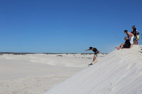 Pinnacles And Yanchep National Park Day Trip From Perth Including Lobster Shack Lunch And Sandboarding - ACT Tourism 4