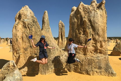 Pinnacles And Yanchep National Park Day Trip From Perth Including Lobster Shack Lunch And Sandboarding - ACT Tourism 2