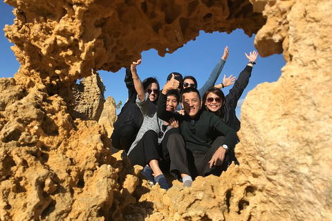 Pinnacles And Yanchep National Park Day Trip From Perth Including Lobster Shack Lunch And Sandboarding - ACT Tourism 5