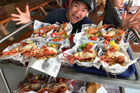 Pinnacles And Yanchep National Park Day Trip From Perth Including Lobster Shack Lunch And Sandboarding - ACT Tourism 7