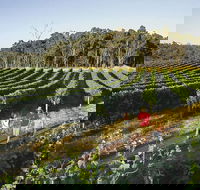 Margaret River Caves Wine and Cape Leeuwin Lighthouse Tour from Perth - ACT Tourism