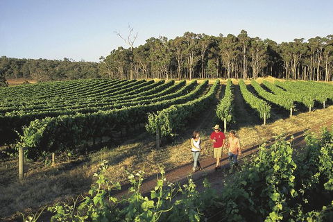 Margaret River, Caves, Wine And Cape Leeuwin Lighthouse Tour From Perth - ACT Tourism 0