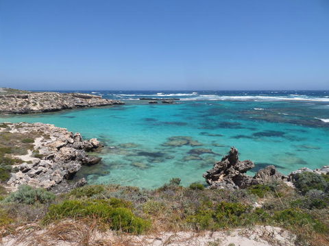 Rottnest Island Tour From Perth Or Fremantle Including Adventure Speed Boat Ride - ACT Tourism 3