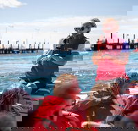 Rottnest Island Tour from Perth or Fremantle including Adventure Speed Boat Ride - ACT Tourism