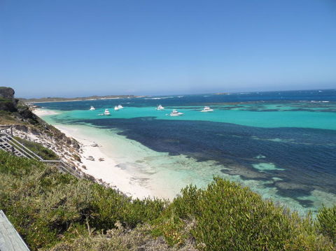 Rottnest Island Tour From Perth Or Fremantle Including Adventure Speed Boat Ride - ACT Tourism 2