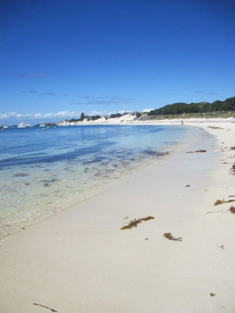 Rottnest Island Tour From Perth Or Fremantle Including Adventure Speed Boat Ride - ACT Tourism 4