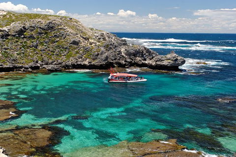 Rottnest Island Tour From Perth Or Fremantle Including Adventure Speed Boat Ride - ACT Tourism 10