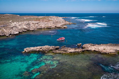 Rottnest Island Tour From Perth Or Fremantle Including Adventure Speed Boat Ride - ACT Tourism 13