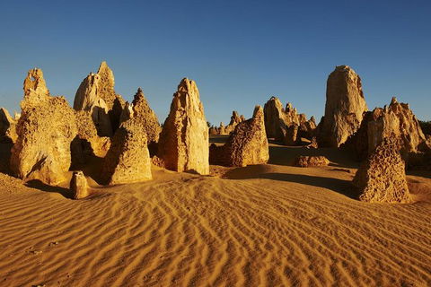 Pinnacles Day Trip From Perth Including Yanchep National Park - ACT Tourism 0