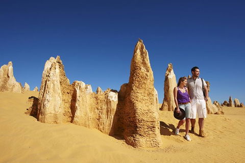 Pinnacles Day Trip From Perth Including Yanchep National Park - ACT Tourism 1