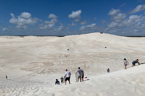 Pinnacles Day Trip From Perth Including Yanchep National Park - ACT Tourism 3