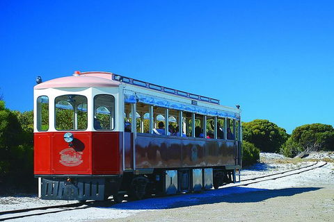 Rottnest Island Grand Tour Including Lunch And Historical Train Ride - ACT Tourism 1