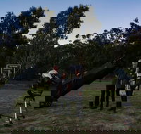 Stargazing Busselton with Mobile Observatory - ACT Tourism
