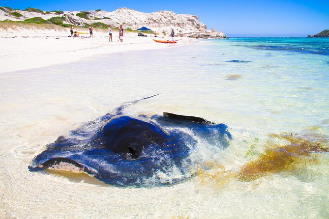 Margaret River WA ACT Tourism