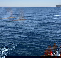 Blue Whale Perth Canyon Expedition - ACT Tourism