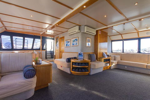 Blue Whale Perth Canyon Expedition - ACT Tourism 4