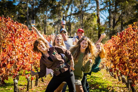 Margaret River Winery And Brewery Day Trip, Plus Gourmet Winery Lunch - ACT Tourism 4