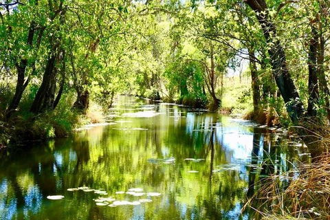 Gorgeous Gorges Tour - Windjana & Bell Gorge, Mt Hart, Cape Leveque - ACT Tourism 8