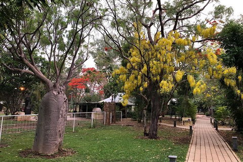 Gorgeous Gorges Tour - Windjana & Bell Gorge, Mt Hart, Cape Leveque - ACT Tourism 10