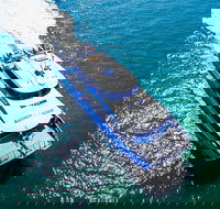 Rottnest Island Roundtrip Ferry from Perth with Transfer - ACT Tourism