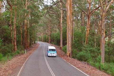 Taste Of The Great Southern - ACT Tourism 3