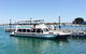 Half-Day Mandurah Canals & Dolphin Watch Tour - thumb 4