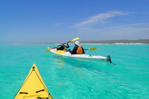 Lagoon Explorer - Ningaloo Reef Full-Day Kayaking And Snorkeling Adventure - ACT Tourism 7