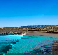 Rottnest Island Roundtrip Fast Ferry from Hillarys Boat Harbour - ACT Tourism