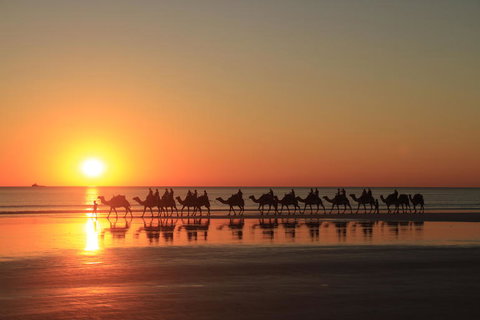 Broome City Sightseeing Tour With Optional Camel Ride - ACT Tourism 2
