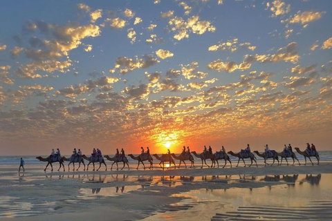 Broome City Sightseeing Tour With Optional Camel Ride - ACT Tourism 0