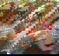 Half Day Swan Valley Wine Tour - ACT Tourism