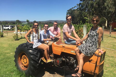 Half Day Swan Valley Wine Tour - ACT Tourism 6