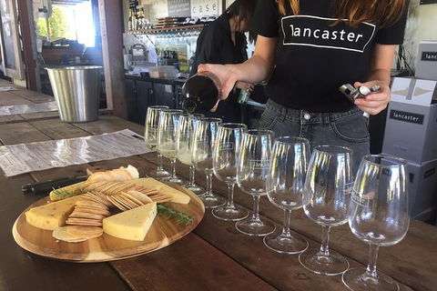 Half Day Swan Valley Wine Tour - ACT Tourism 8