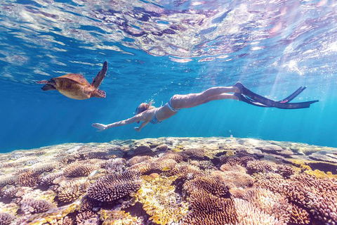 7-Day Exmouth Explorer Via Pinnacles Monkey Mia Ningaloo Reef Returning To Perth - ACT Tourism 0