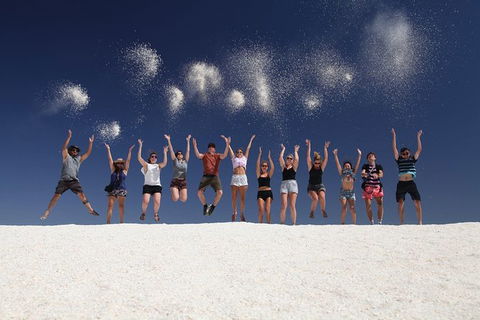 7-Day Exmouth Explorer Via Pinnacles Monkey Mia Ningaloo Reef Returning To Perth - ACT Tourism 1