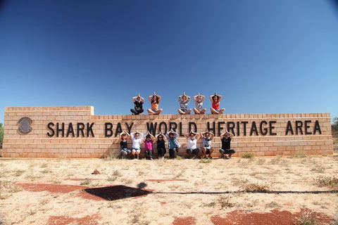 7-Day Exmouth Explorer Via Pinnacles Monkey Mia Ningaloo Reef Returning To Perth - ACT Tourism 14