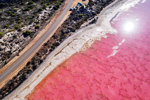 7-Day Exmouth Explorer Via Pinnacles Monkey Mia Ningaloo Reef Returning To Perth - ACT Tourism 5