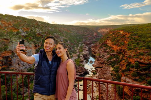 7-Day Exmouth Explorer Via Pinnacles Monkey Mia Ningaloo Reef Returning To Perth - ACT Tourism 2